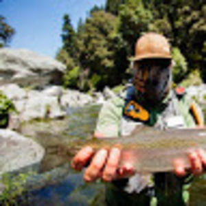 Meet your Posher, Tom